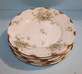 359  Theodore Haviland Salad Plates