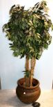 Terra Cotta Planter with Tree
