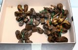 Box of Rollers
