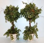 Two Small Topiaries
