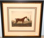 Hand Colored Print of Famous Horse King Herod