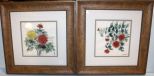 Pair Painted Oriental Floral Pictures