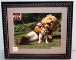 Mississippi State Bulldog Picture