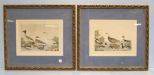 Pair Hand Colored Lithographs of Birds 25