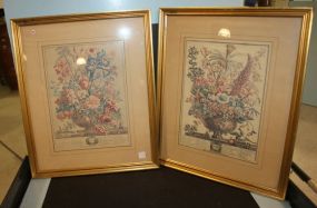 Two Floral Prints 20