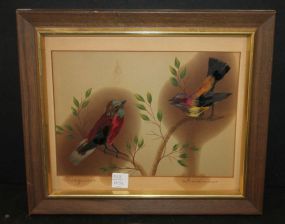 Print of Birds 14 1/2