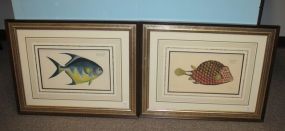 Pair of Lithographs of Fish by Ludwig Schmidt Pair of Lithographs of Fish by Ludwig Schmidt; Ostracion Trigonus and Chatodon Rhomboides; 27