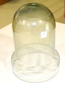 Glass Dome 12
