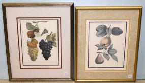 1992 Winterthur Museum Prints of Fruit
