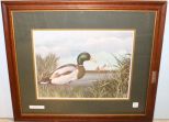 A.J. Rudsill Print of Duck