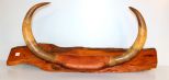 Mounted Cow Horns