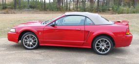 1999 Mustang Cobra Convertible