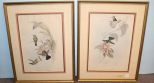 Two J. Gould and Richler Hummingbird Prints
