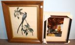 Bird and Magnolia Print, Picture & Frame