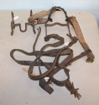 Bridle, Harness & Spur