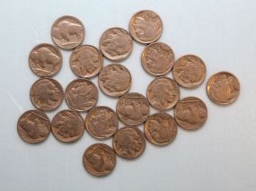 Twenty 1920-1930 Buffalo Nickels
