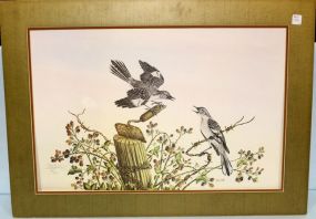 Limited Edition Print of Birds