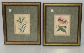 Two Framed Flower Prints