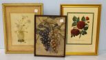 Two Framed Flower Prints & Framed Grape Picture