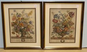 Flower of the Month Framed Prints