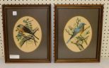 Two Framed Bird Prints