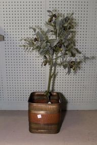 Brass Planter with Small Tree