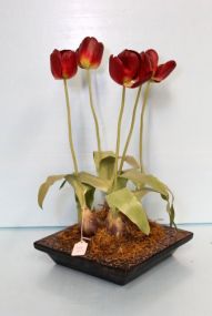 Square Metal Planter with Red Tulips