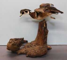 Two Ducks on Driftwood