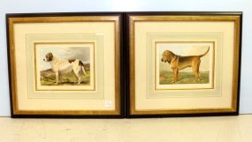 Pair Cassell's Illustrated Books of the Dog Lithographs