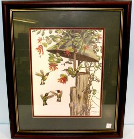 Limited Edition Print of Hummingbirds