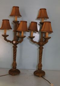 Pair of Brown Resin Lamps