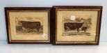 Two Color Lithographs of Bulls