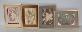 Three Framed Lalique Prints
