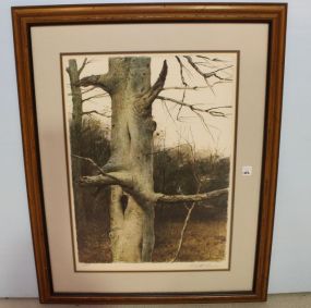 Print of Tree Signed Emmitt Thames