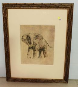 Print of Elephant