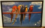 Large Print of Parrots