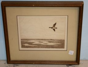 Limited Edition Marsh Duck Print