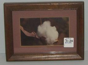 Small framed picture of a cotton bud