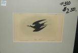 Audubon print Sooty Tern