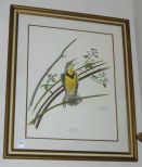 Picture of A Meadowlark By Ray Harm