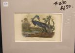 Audubon print Louisiana Heron