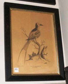 Ebonized Frame with Hand Painted Bird Prints
