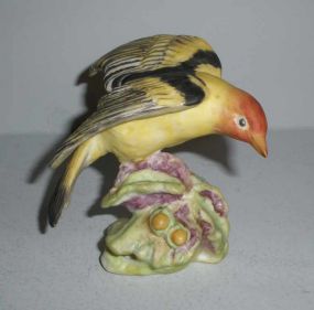 Western Tangerine China Bird Royal Chester