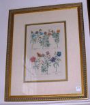 Gilt Framed Triple Matted Botanical Print