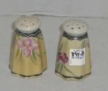 Nippon Salt and Pepper Shakers