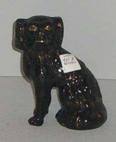 Staffordshire Spaniel Dog