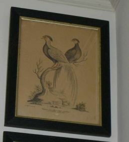 Ebonized Frame Hand Painted Bird Print