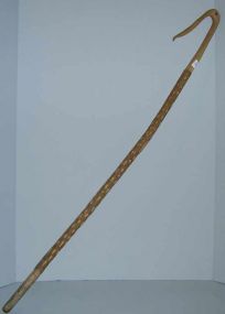Wooden Carved Walking Cane with Pelican Beak