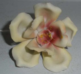 Porcelain Flower Blossom Large Hand Colored