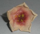 Small Porcelain Flower Blossom Hand Colored